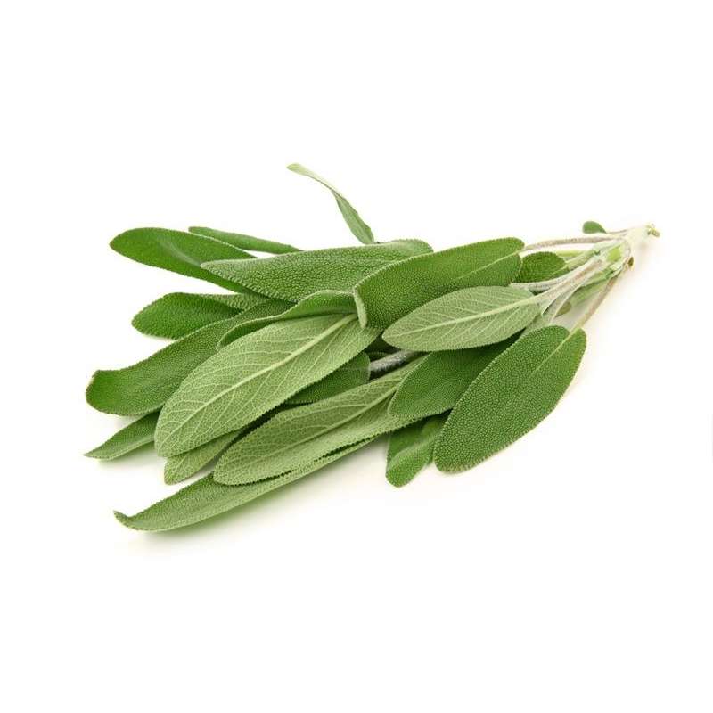 FRESC SALVIA D'ARAGÓ 50 G